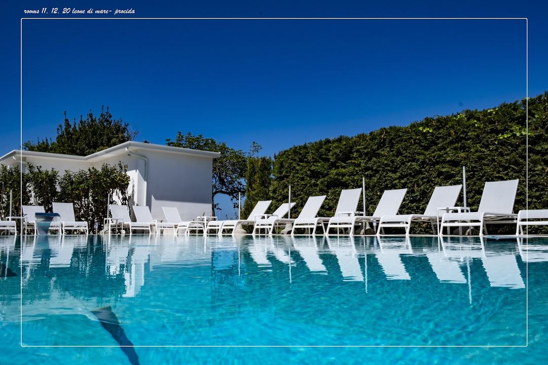 The pool area features crystal-clear turquoise water with white lounge chairs arranged in a row, backed by lush green hedges and a modern white building under a clear blue sky.